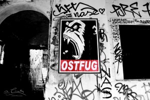 ostfug1_web